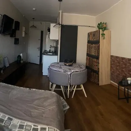Apartamento Jolie Cyprien 100m De La Commerce Et Animation Saint-Cyprien (Pyrenees-Orientales)