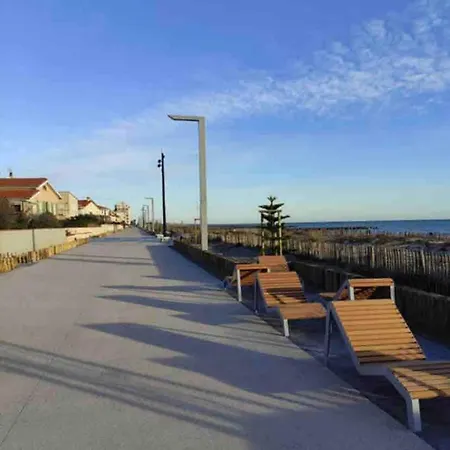 Jolie Cyprien 100m De La Commerce Et Animation Apartamento