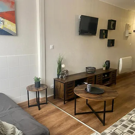Jolie Cyprien 100m De La Commerce Et Animation Appartement *